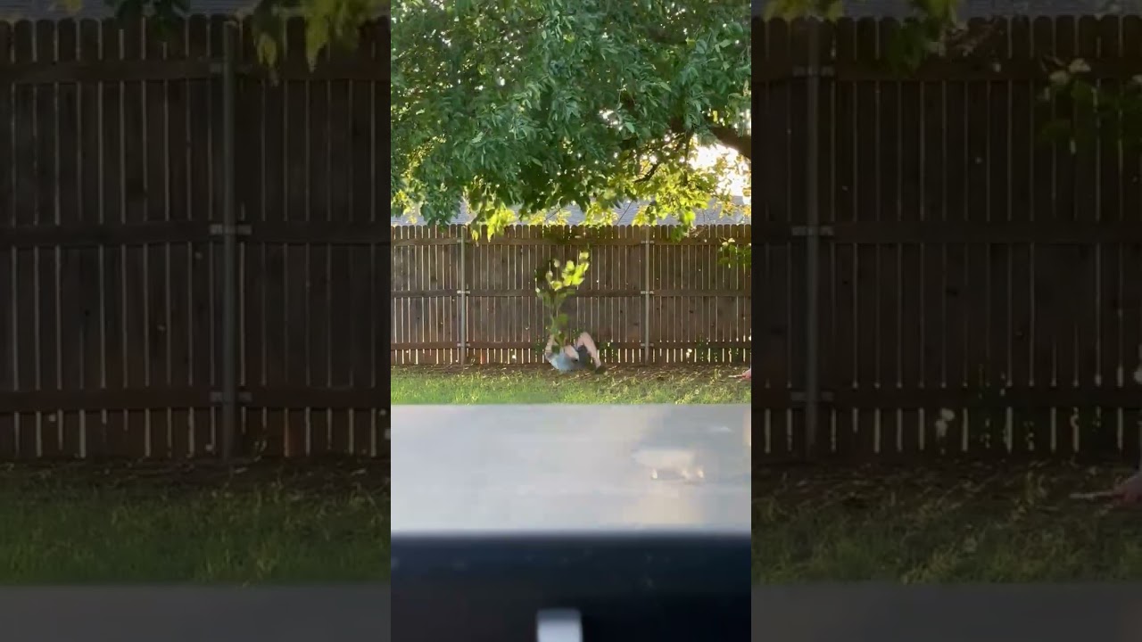 Boy hangs from leaves on tree that break and falls on his back