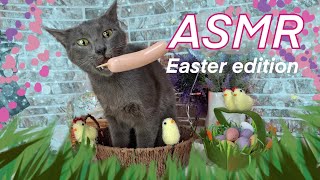 ASMR CAT eats Sausage No Talk ~ EASTER Edition #asmr #asmrcat #cat #catlover #asmrsounds #mukbang