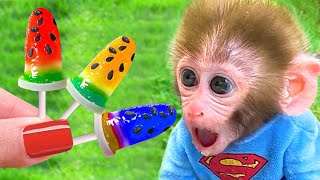 Baby Monkey BonBonتحدي فتح البيض الملون وتناول الآيس كريم مع الجرو اللطيف - BonBon Arabic