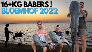 Catfish / Barbel calling (Baber Roep en Prop ) Bloemhof Dam 2022.