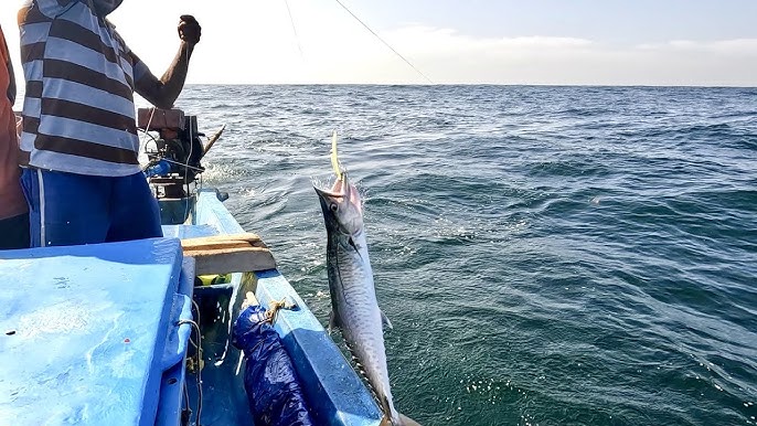 Learn About the Wahoo Fish – Fishing