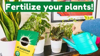 Yellowing Leaves On Your Houseplants? Fertilize Them!