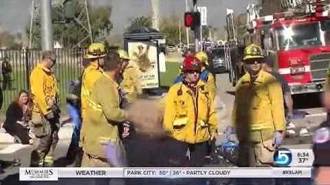 Apple CEO denies judge