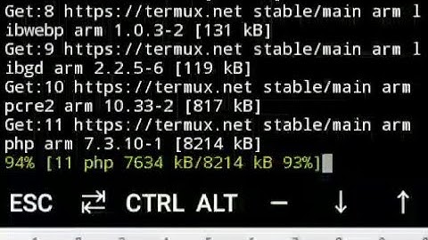Turmux bot.php pkg install?
