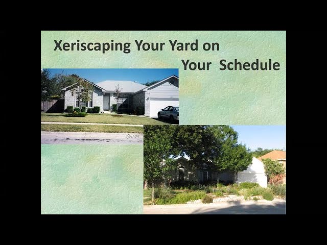 Xeriscaping Your Yard