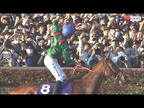 CALANDAGAN WINS THE JAPAN CUP IN A RECORD TIME ジャパンカップ