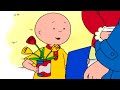 Caillou Goes to a Party | Caillou Cartoon