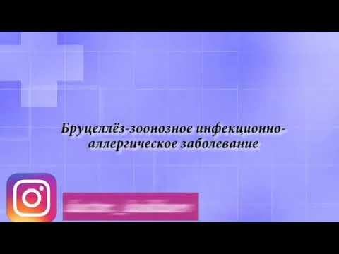 Болезнь «Бруцеллёз»