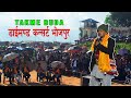 Wilson bikram rai (takme buda) | Bhojpur, Nepal | Gaaule Yatri #Comedy