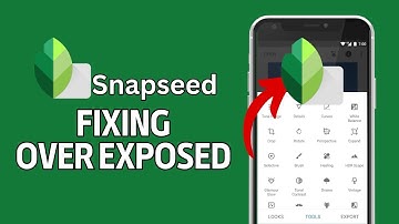 How to Fix Over Exposed Photo in Snapseed 2024?