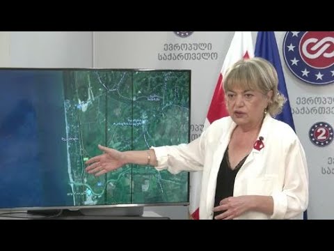 ეს არის სხვის  ჯიბეში ხელის ჩაყოფა,  ლუკმა-პურის წართმევა!  უნდა დასრულსდეს! - გოგორიშვილი