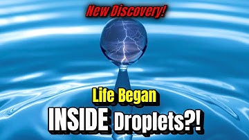 The NEW Discovery Rewriting Life’s Origin!