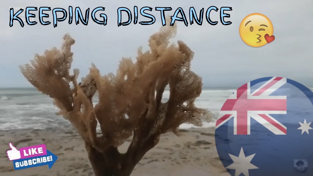 The Great Ocean Road - Winki Pop & Point Roadnight - Beach relaxationAustralia