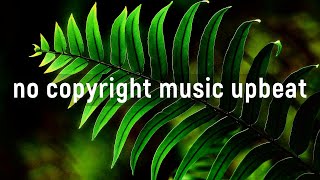 No copyright music upbeat / Royalty free music upbeat screenshot 3