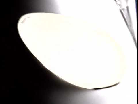 Ultraman Tiga opening theme - Take me Higher