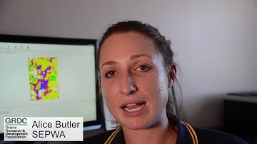 Crop yield predictive technology - Tyson Redding