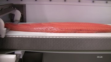 Horizontal Slicer MSC 650-45 – In-line and continuous production