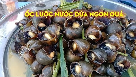 LUỘC ỐC BƯU BẰNG NƯỚC DỪA SIÊU NGON SIÊU NGỌT - TÂM VÕ VLOG