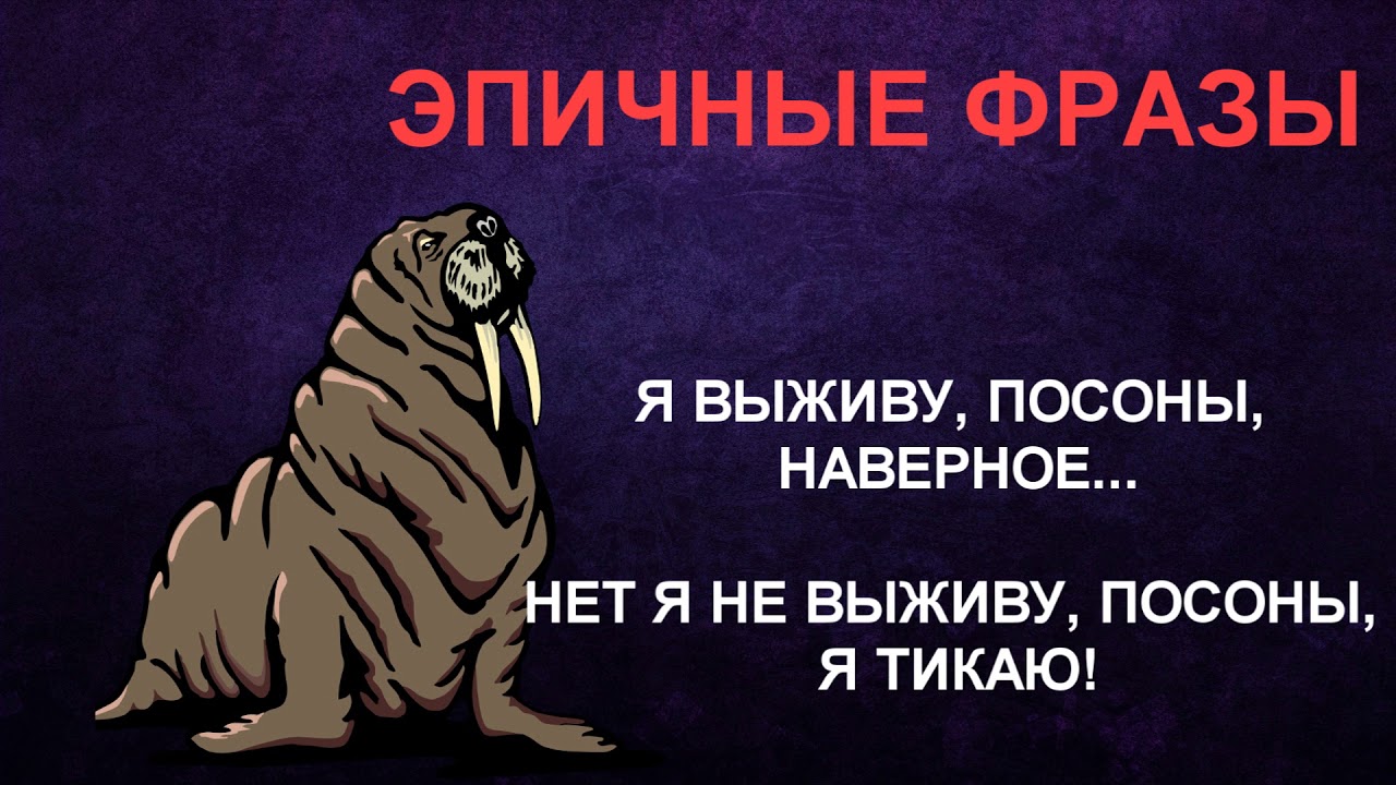 эпические фразы. эпичные фразы. эпические предложение. фразы порвавшие интернет. эпические предложение.