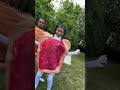 Peanut Butter Jelly Dance!