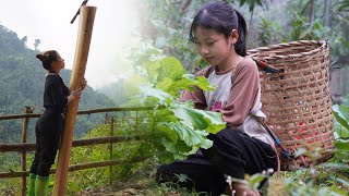 farm life  Take care of pigs and chickens and cook with your daughter  live with nature