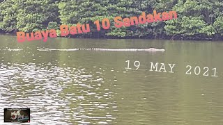 Buaya Batu 10 Sandakan ( Tanah Rezab) #mj #buaya #sungai