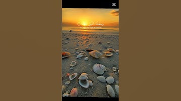 الم نجعل الارض مهادا#سوره النبا#viral quran # vew of sea beech#trending