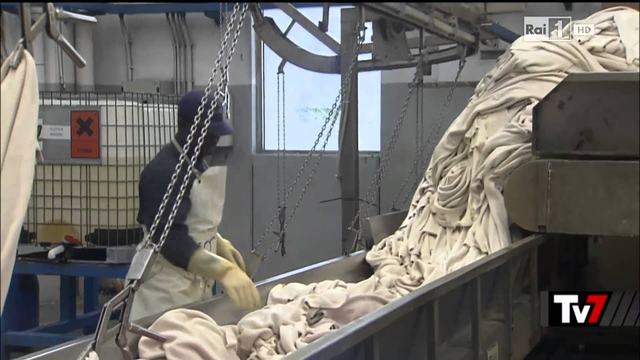 Gruppo Dani Rai1 Puntata TV7 21112014