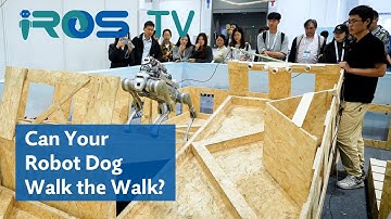 Meet the Robot Dogs Conquering Terrain at IROS 2025