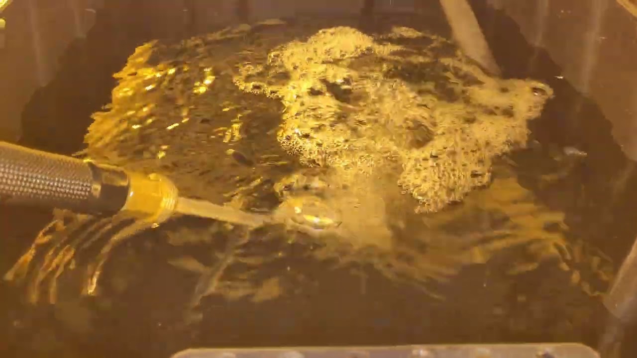 Little update on the growing situation! Floor Drain Hydroponics! Forgotten video!