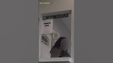 Entitled Tenant