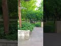 حدائق ومتنزاهات يران مشهد