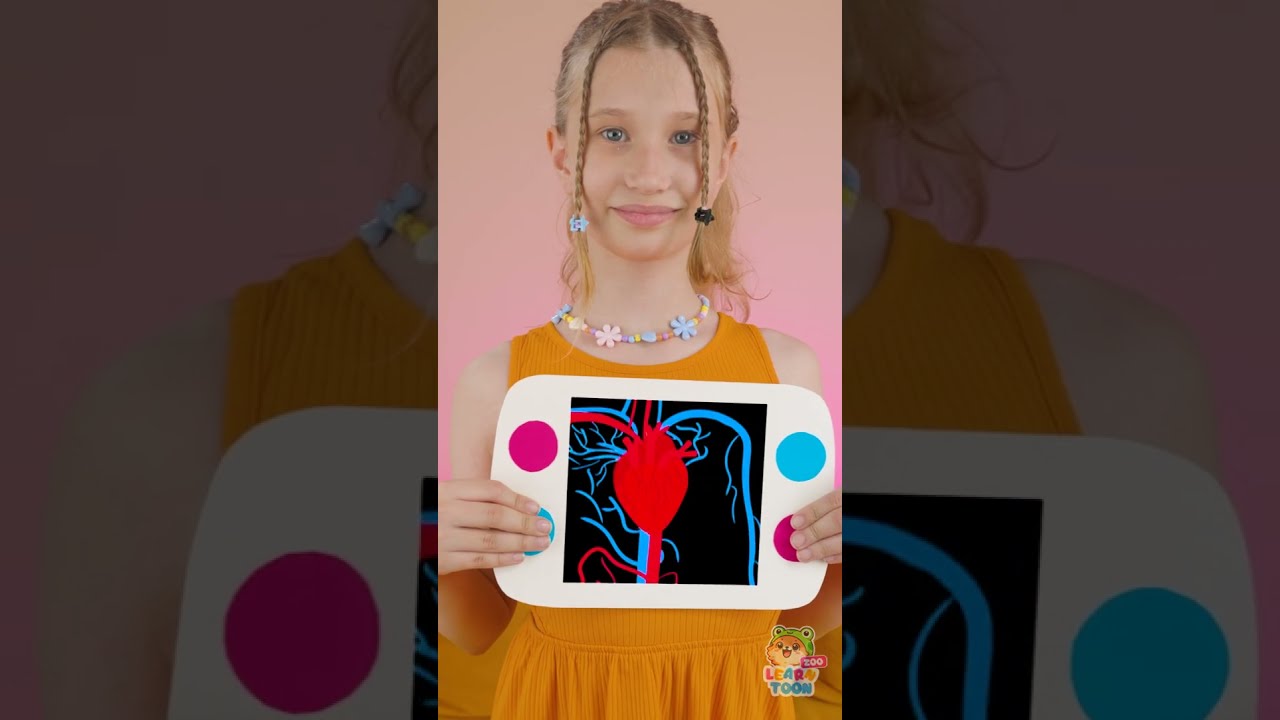 Let S Learn What Hiding Inside Our Body Kidsvideo Learning