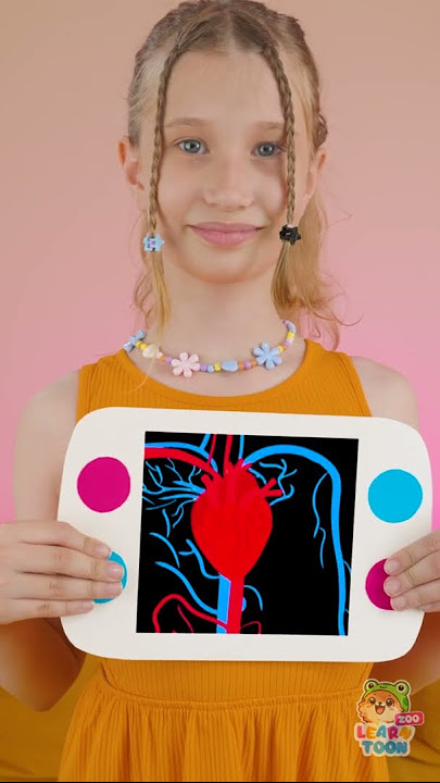 Let's Learn What's Hiding Inside Our Body 🧠❓ #kidsvideo #learning