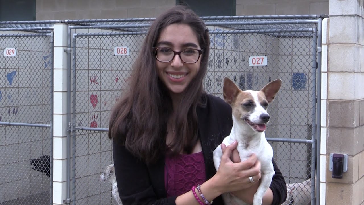 Pet Care Tips for Residents Pet Care Tips for Residents