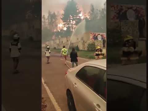 INCENDIOS FORESTALES EN