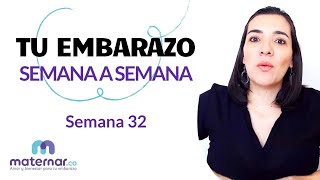 Semana 32 | Tu embarazo semana a semana | Maternar.co