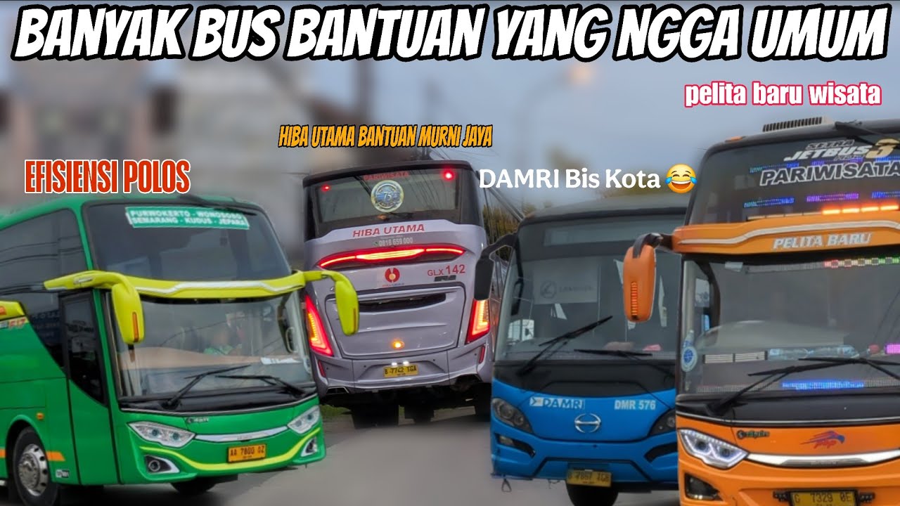 DAMRI Paling Keren‼️ Momen Libur Panjang Banyak Bus Bantuan Yang Ngga Biasa‼️