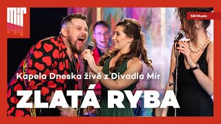 Kapela Dneska - Zlatá ryba (silvestr z Divadla Mír) | MírMusic