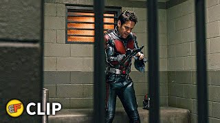 Scott Lang Escapes From Jail Scene | Ant-Man (2015) Movie Clip HD 4K