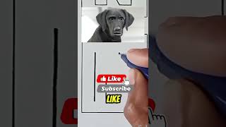 How to draw letter N #funny #memes #USA
