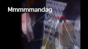 Mmmmmandag 2025