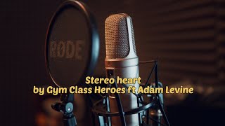 Lirik Stereo Heart by Gym Class Heroes ft Adam Levine - Story Lagu 30 Detik