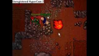 Tibia thais pk 7