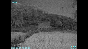 ADNV-G14P2 Contrast Levels 1 thru 10