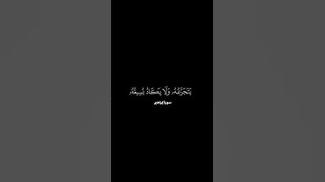 واستفتحو وخاب كل جبار عنيد   سورة إبراهيم  كروما محمد اللحيدان#قرآن #قران كريم#quran#محمد اللحيدان
