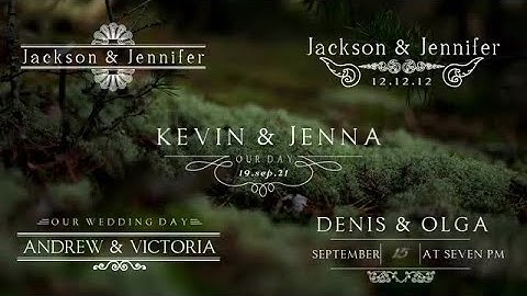 Wedding Macro 4.0 DaVinci Resolve Macros