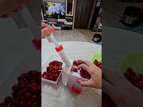 Отделитель косточек у вишни(черешни) механический. Прибор для удаления косточек у вишни.