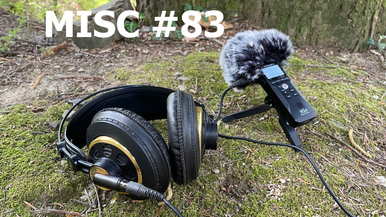 Misc: One Hour of Rain in the Woods . Italian Apennines in May.