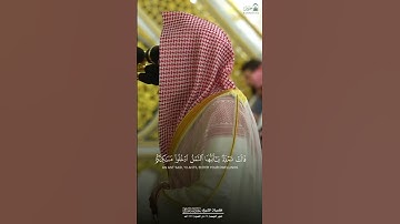 تلاوة خاشعة للشيخ عبدالله القرافي #اكسبلور #قرآن #المصحف #عبدالله_القرافي #ترند #تلاوة_خاشعة